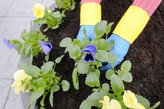Vyresnio amžiaus bedarbiai skatinami sugrįžti į darbo rinką