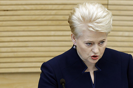 D. Grybauskaitė: gal nereikės privalomo šaukimo ir verkti niekam
