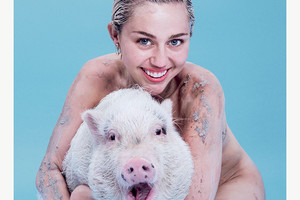Per fotosesiją purvina ir nuoga Miley Cyrus glėbesčiavo kiaulę
