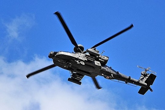 Pratybose Lietuvoje pirmą kartą dalyvavo grėsmingi JAV paukščiai