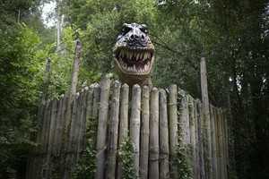 Iš 75 mln. metų dinozauro fosilijos išskyrė kraujo ląsteles