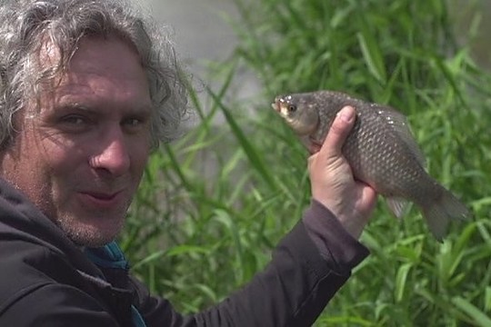 Karosų žūklė mažame upelyje Lietuvoje (I)