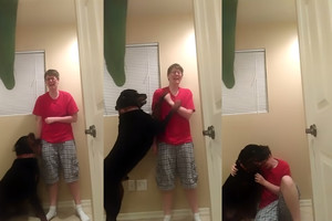 Nufilmavo, kaip Aspergerio priepuolio metu moterį išgelbėjo šuo