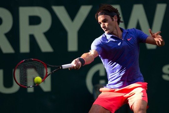 R. Federeris Vokietijoje nesunkiai įveikė latvį E. Gulbį