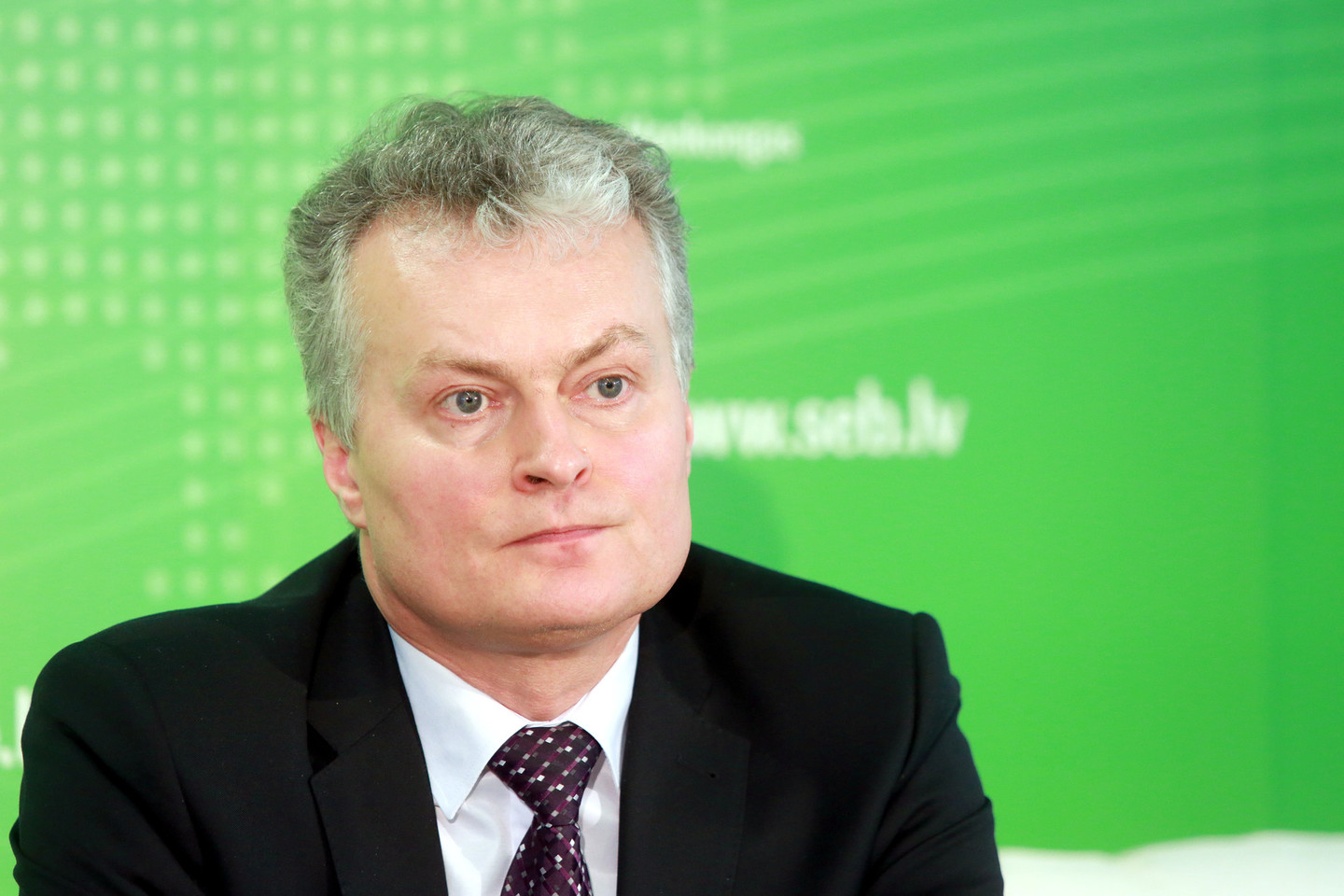SEB banko prezidento patarėjas Gitanas Nausėda.<br>R.Danisevičiaus nuotr.