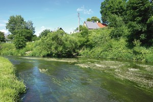Nerimas pavilnyje: pradėjo atakuoti kraujasiurbiai mašalai