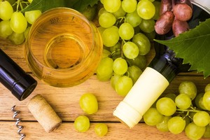 A. Puklevičius: „Blogų vynuogių nėra. Yra tik blogi vyndariai“