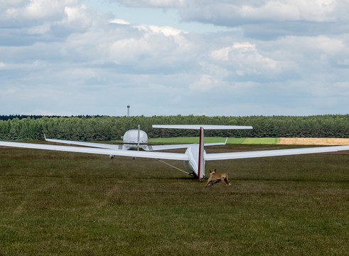 Vilniaus aeroklubą užvaldė sklandymo meistrai.<br>Vlado Ščiavinsko nuotr.