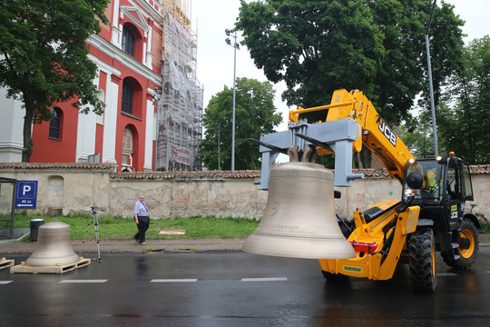 Vilniečiai dėl išskirtinio reginio metė darbus soduose