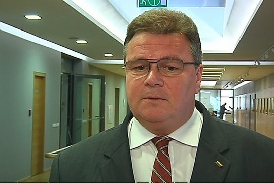 L.Linkevičius neturi pastabų lietuvių bylą tiriantiems švedams