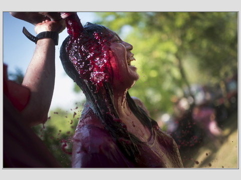 Šventės metu išliejama apie 130 tūkst. litrų raudono vyno.<br>Reuters/Scanpix nuotr.