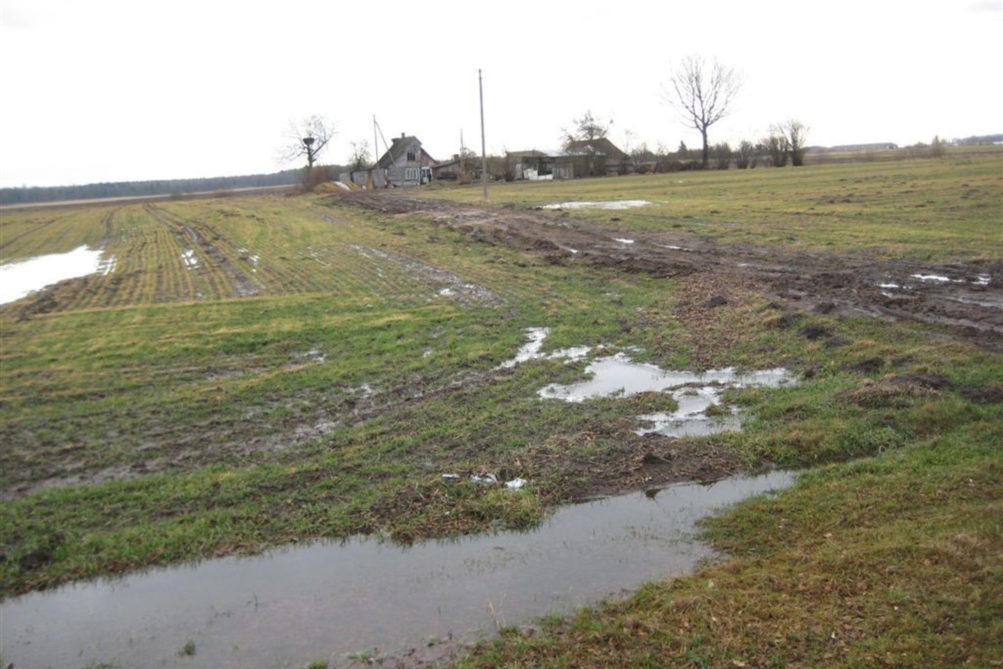 Trijų vaikų motina 2014-ųjų vasarį buvo nužudyta šioje Brastos kaimo sodyboje.<br>L.Juodzevičienės nuotr.