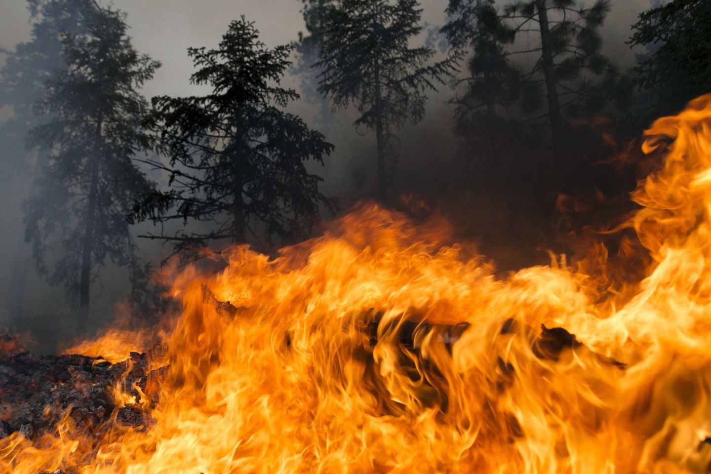 Šiuo metu regione užfiksuota daugiau kaip 110 gaisro židinių, iš jų 49 plotas viršija 100 hektarų.