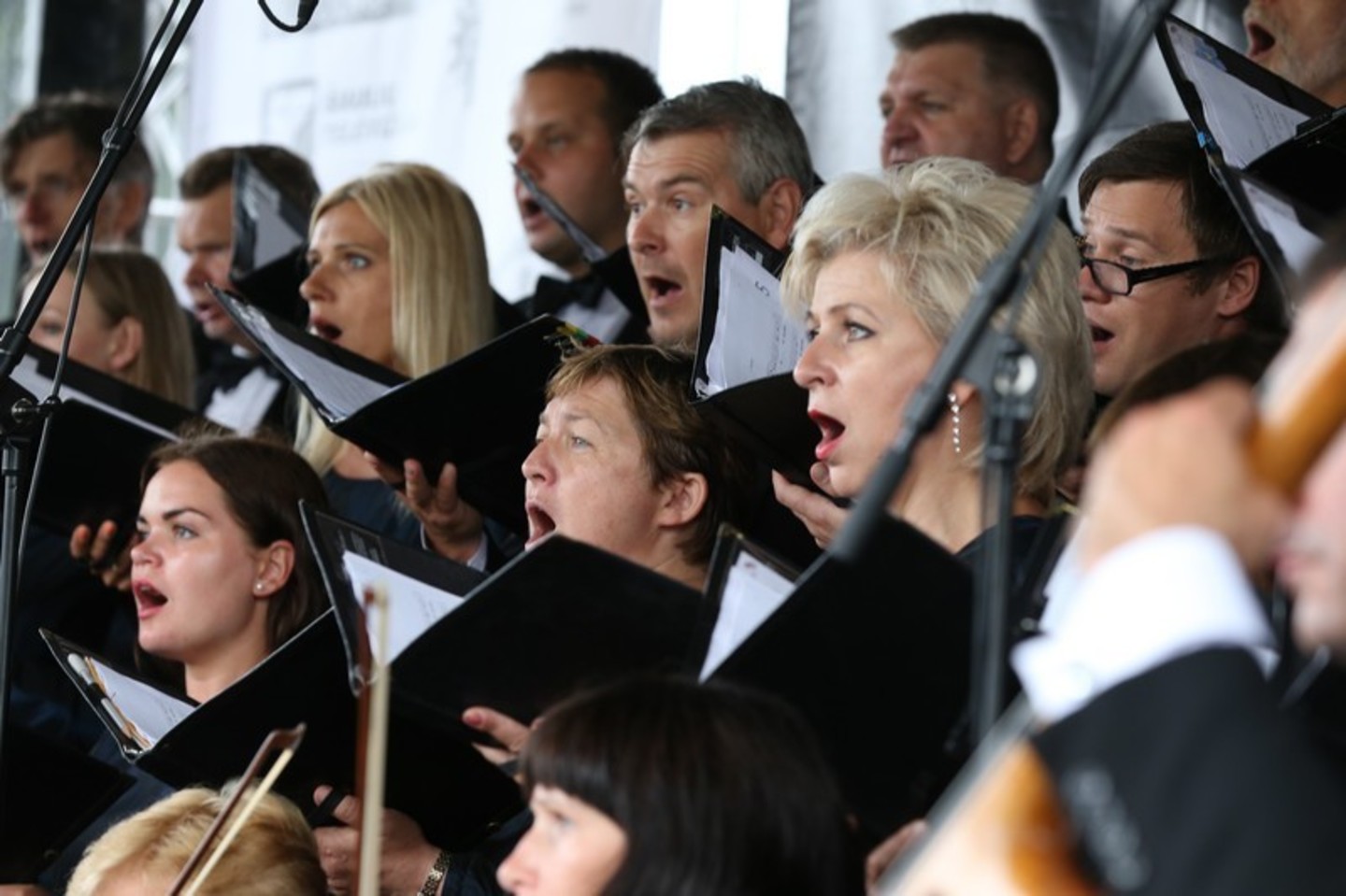 Tarptautinis Ch.Frenkelio vilos vasaros festivalis surengtas dvyliktą kartą.