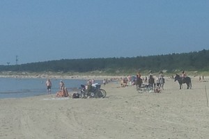 Šeimos poilsį pajūryje sudrumstė šlykštūs vaizdai