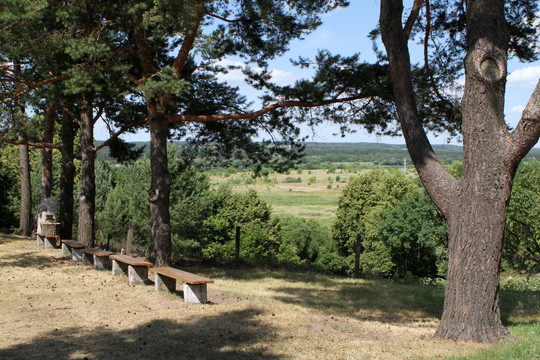 Šiuo metu architekto V.Dubenickio suprojektuotą bažnyčią mena išlikusi tvora, bažnyčios laiptai bei pamatai.<br>M.Patašiaus nuotr.