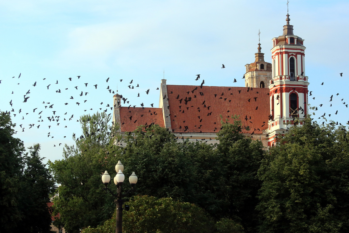 Paukščių pulkas virš Vilniaus Šv. apaštalų Pilypo ir Jokūbo bažnyčios.
