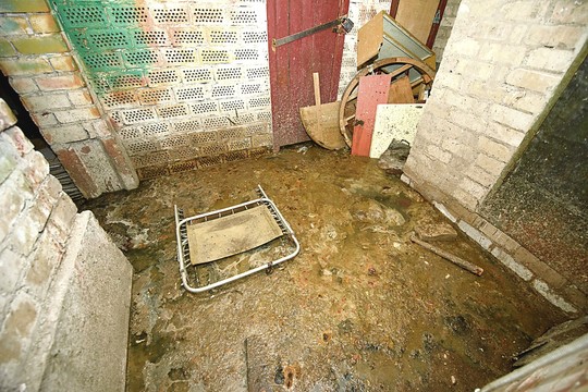 Iš fekalijų pilno rūsio į butus skrenda musės ir ropoja kirmėlės