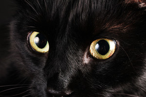 Ar jūs tikite prietarais?