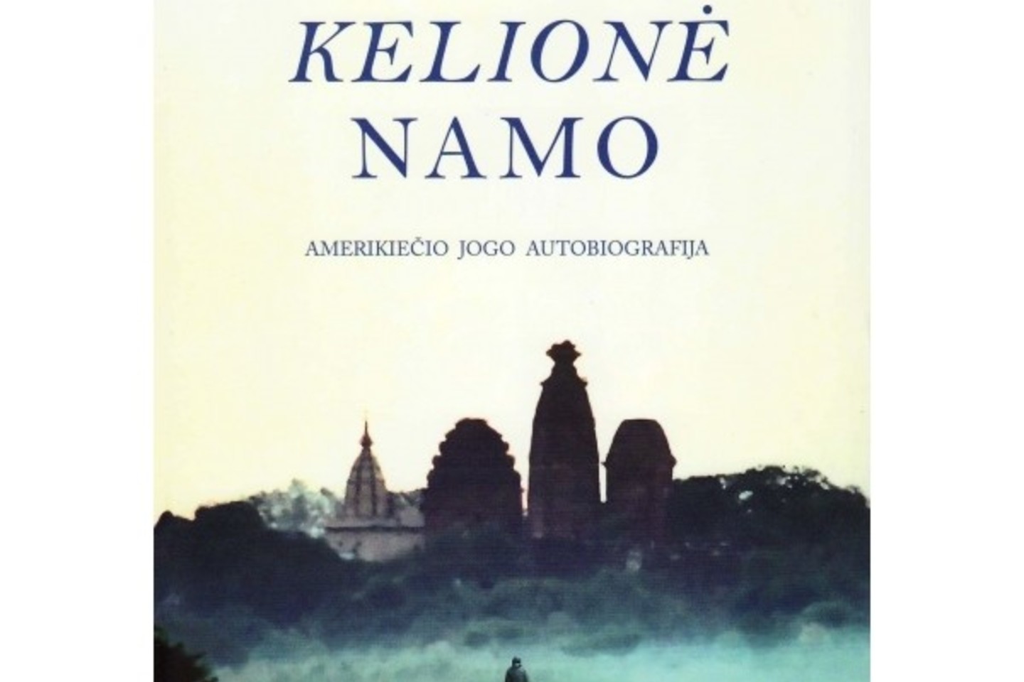 Indijoje, Mumbajuje gyvenantis 64 metų Radhanathas Swami Lietuvoje lankysis liepos pabaigoje, kur pristatys savo knygą „Kelionė namo“.<br>Asmeninio albumo nuotr.