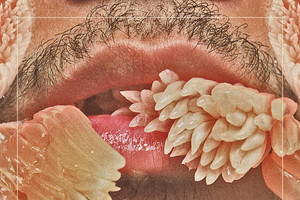 Pasaulinis tinklas gimdo ironišką meną. WWW // muzikos srovės.