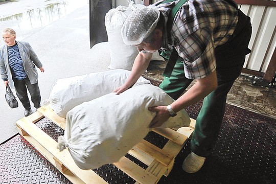 Vaistažolės brangsta, rinkėjų mąžta