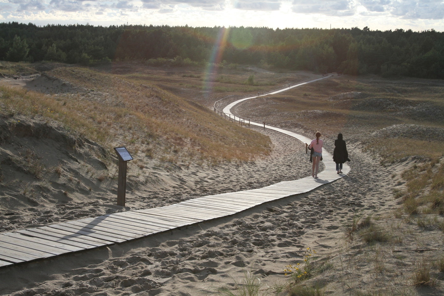 Pilkosios kopos Naglių gamtos rezervate, Kuršių nerijoje.