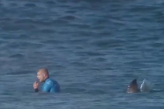 Nufilmuotas šiurpus banglentininko susidūrimas su 2 rykliais