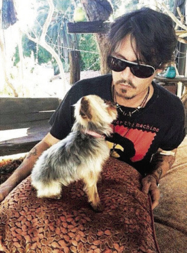 Johnny Deppo ir Amber Heard šunys Australijoje nepageidaujami.