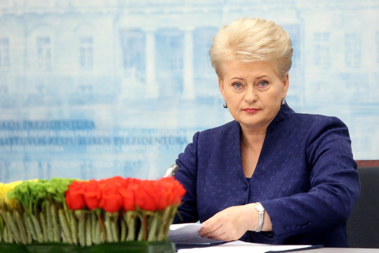 Paaiškėjo naujų D. Grybauskaitės patarėjų pavardės