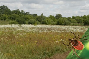 Per atostogas tykantys pavojai: kur verčiau net nekelti kojos?
