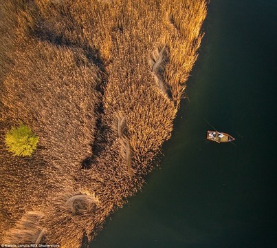 Žvejai ežere prie Elektrėnų.<br>K.Janulio nuotr.