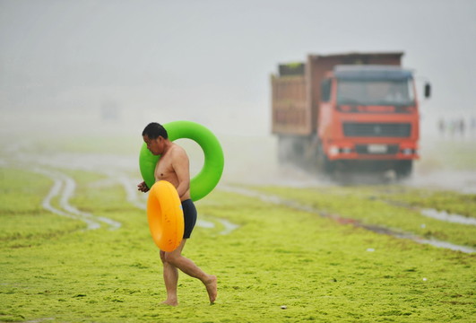 Galybė žalių dumblų poilsiautojų visiškai neliūdina.<br>AFP/Scanpix nuotr.
