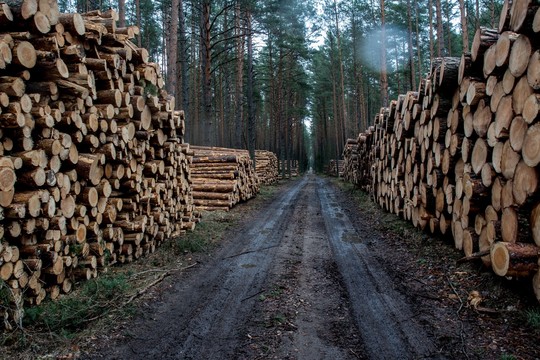 Naujo mokesčio prispausti miškų savininkai šaukiasi Strasbūro