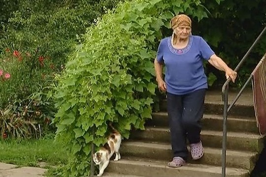 Gąsdinantys skaičiai: Lietuvos kaimas nyksta akyse