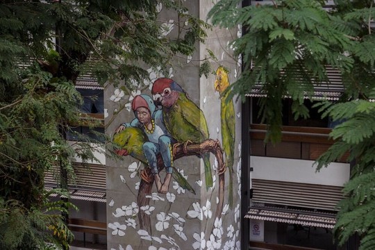 Lietuvis išmoko nepaklysti pasaulio gatvės meno džiunglėse