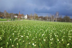 Bent šešios savivaldybės nori tapti Europos kultūros sostine