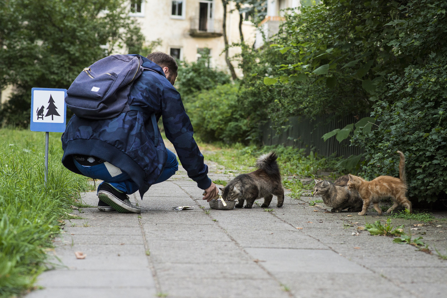 Poilsiavietė katėms. Projektas #TINYROADSIGN – kelio ženklai mieste gyvenantiems gyvūnams.<br>ViDA Press nuotr.
