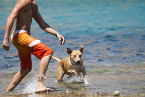 Rėžė tiesiai: kas paplūdimyje pridergia daugiau – žmogus ar šuo?