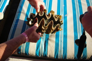 Raudonoji jūra skaudžiai pamokė jos grožybes grobusį rusą