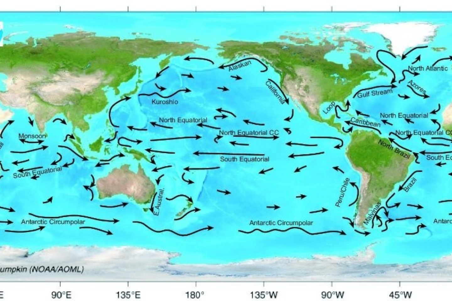 Какое течение в тихом океане. Морские течения. Течения Тихого океана. Карта течений Тихого океана. Течение Куросио на карте Тихого океана.