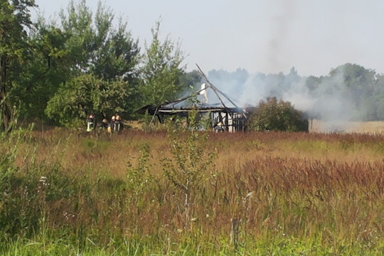 Bičių sugeltiems ugniagesiams teko gerti vaistus