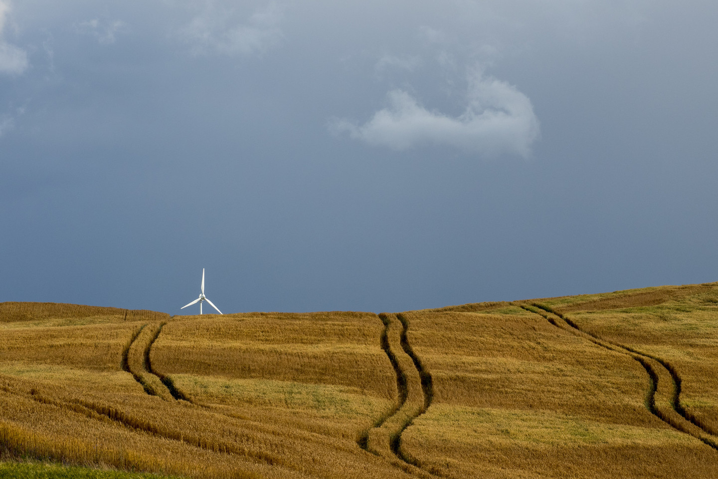 Valstybiniai auditoriai taip pat atkreipė dėmesį, kad Žemės ūkio ministerija nevykdė jai deleguotos pareigos – parengti atsinaujinančių energijos šaltinių gamintojų rėmimo programą.