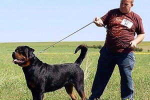 Jungtinėje Karalystėje vergavę lietuviai kreipėsi į teismą