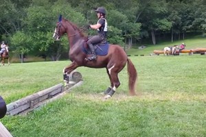 Tūkstančius žmonių prajuokino pirmas žirgo šuolis per kliūtį