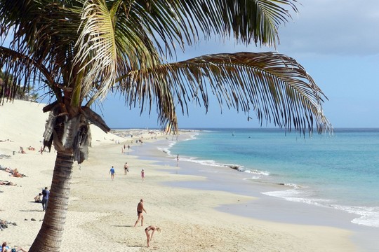 Kelionių gidas: ką pamatyti Fuerteventuroje?