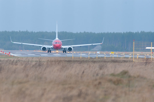 Palangos oro uoste tūpti musėms niekas netrukdo