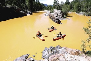 JAV upė nusidažė garstyčių spalva