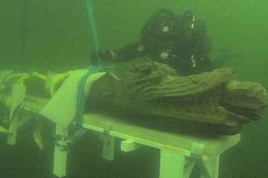 Baltijos jūroje rasta prieš 500 metų nuskendusi laivo puošmena