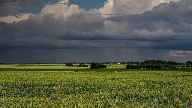 Kitą savaitę karščius keis vėsūs orai